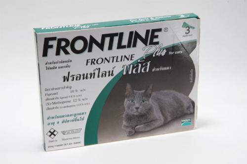FRONT LINE PLUS フロントラインプラス 猫8週齢以上用　6本