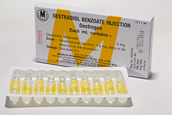 安息香酸エストラジオール (エストロゲン) 注射剤 OESTRADIOL BENZOATE INJECTION 5mg10アンプル入り タイ発送