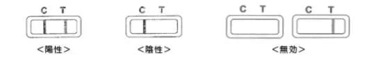 結果の見方